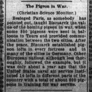 1919 pigeon in war