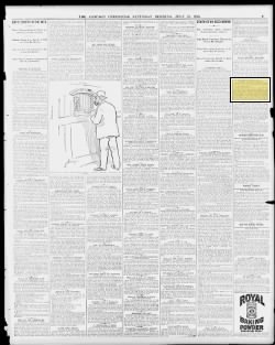 The Chicago Chronicle