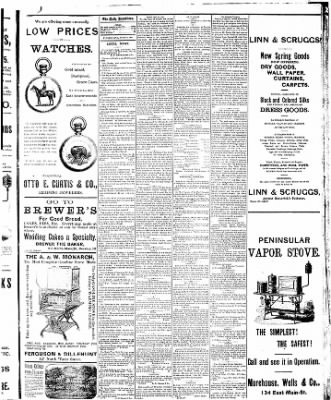 Decatur Daily Republican from Decatur, Illinois on June 23, 1885 · Page 3