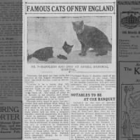 Famous Cats of New England: 