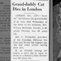 1953 obituary for Scooter, a 
