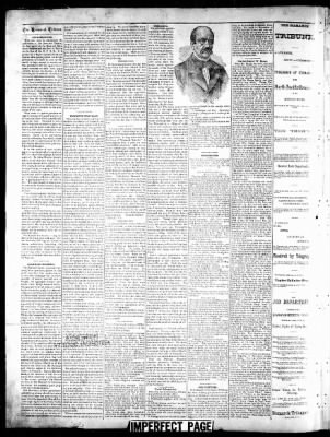 The Bismarck Tribune from Bismarck, North Dakota on July 11, 1873 · Page 2