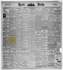 The York Daily