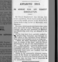 Sled dogs from Canada arrive in England for Shackleton's Antarctic expedition