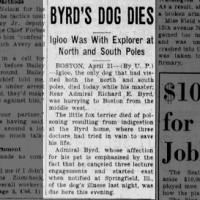 1931 obituary for Igloo, the 