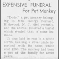 1931 obituary for Dodo, a pet monkey that 