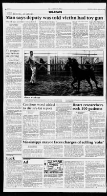 The Commercial Appeal from Memphis, Tennessee on May 13, 1988 · 17