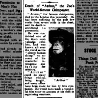 1926 obituary for Arthur, the London Zoo's 