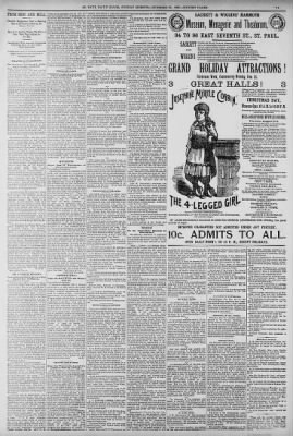 The Saint Paul Globe from Saint Paul, Minnesota on December 20, 1885 · Page 11