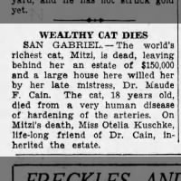 1931 obituary for Mitzi, the 