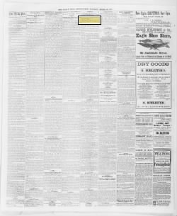 The Pittsburgh Post